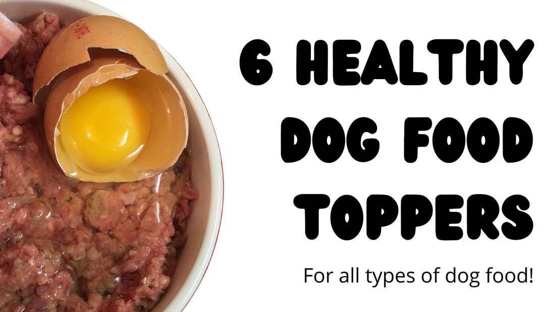 6 Healthy Dog Food Toppers