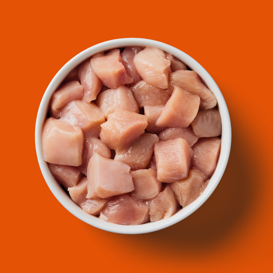 5kg Cat Starter Box: Diced raw chicken in a white bowl, ideal for starter packs, on an orange background.