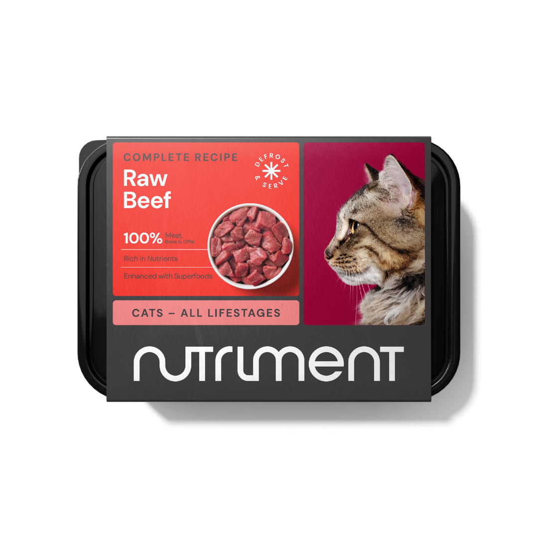 Beef Formula 500g Tray Raw Cat Food Nutriment Raw