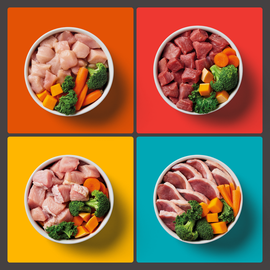 Four bowls of the 10kg Adult Mixer Box with veggies on orange, red, yellow, and teal backgrounds.