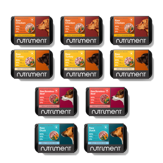 Ten 5kg Adult Starter Packs of Nutriment raw dog food in mixed formulas: chicken, turkey, beef, and duck.