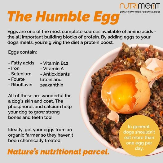 egg benefits listing