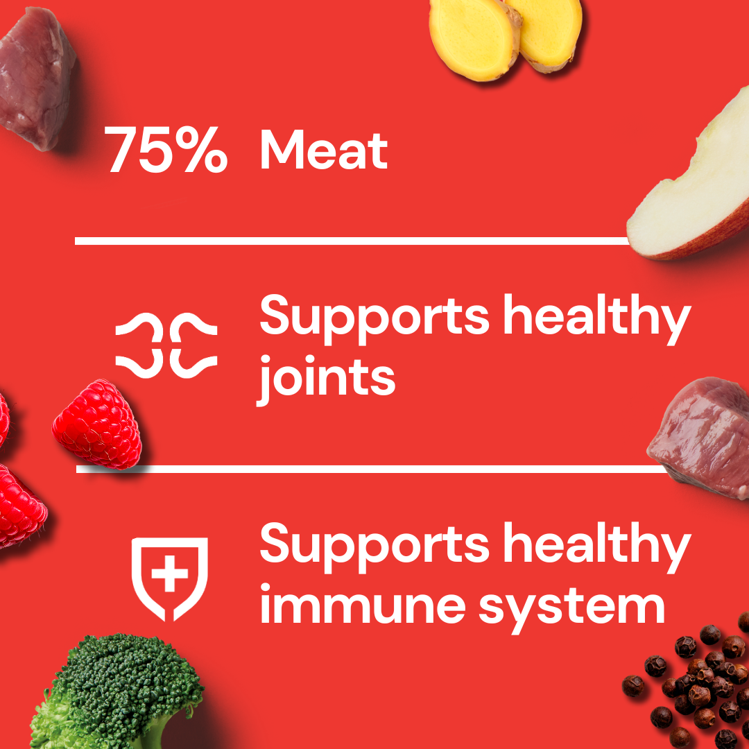 Red graphic with food images: Freeze Dried Food - Beef 225g, 75% beef, supports joints & immune system.
