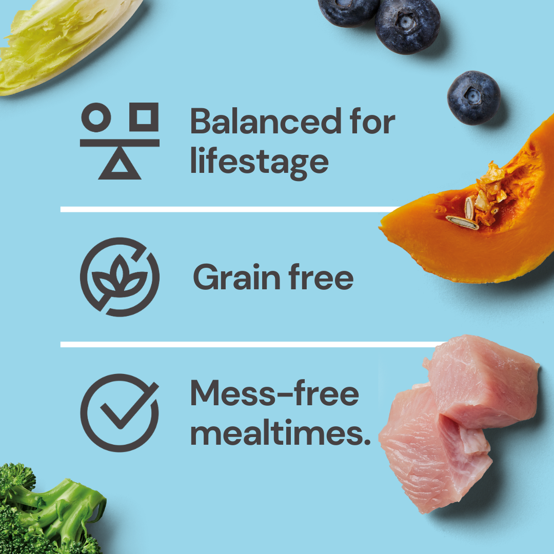 Fresh ingredients on blue background: "Balanced for puppies. Raw nutrition with Raw Turkey Nuggets. Mess-free meals.