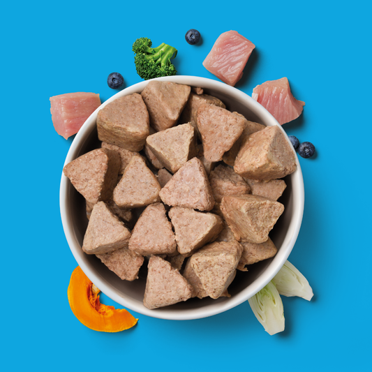 Bowl of Raw Turkey Nuggets for puppies with raw meat, veggies, and superfoods on a blue background.