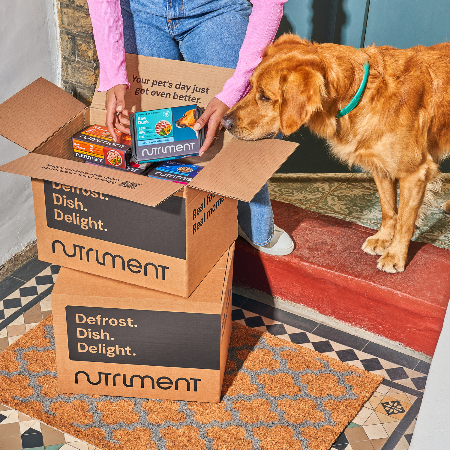 It's on it's way - a golden retriever dog standing with their owner on their doorstep as they unpackage a delivery of raw food.