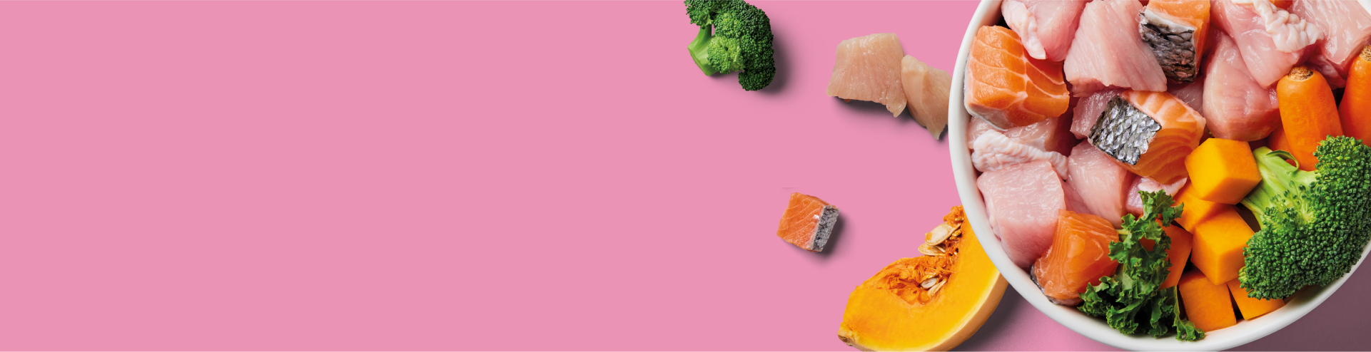 Nutriment's Salmon and Turkey recipe bowl with ingredients. Broccoli, butternut squash, carrot and kale pieces lie outside the bowl.