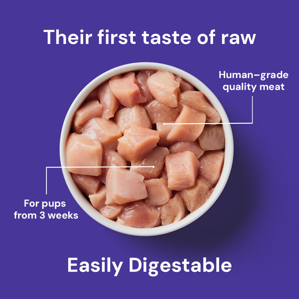 Weaning Paste Raw Chicken 500g for puppies 3+ weeks; "Easily Digestable" on purple background.