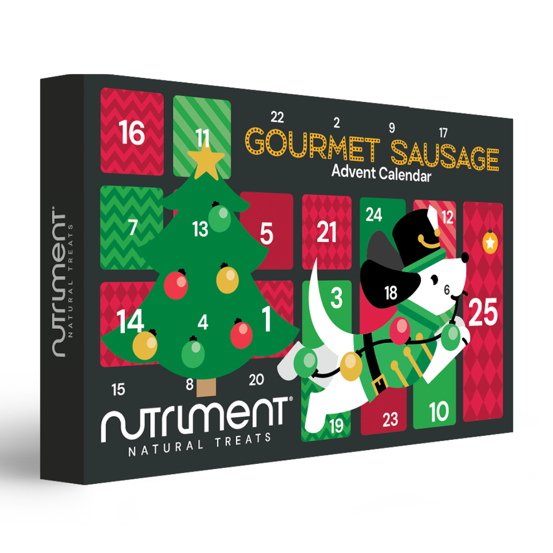 Gourmet Advent Calendar for Dogs with numbered doors, festive dog art, and grain-free treats inside.