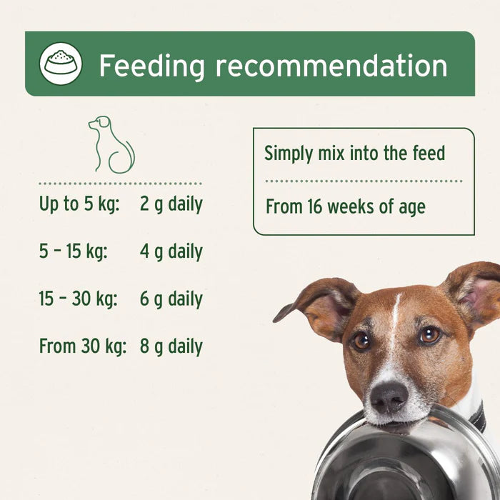 Aniforte BARF Complete for Dogs 500g feeding chart with suggestions, featuring a dog holding a metal bowl.