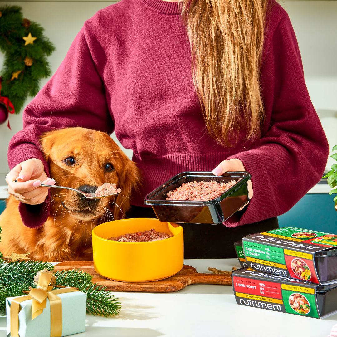 A woman feeds a golden retriever Raw 3 Bird Roast 500g—Christmas Limited Edition—in a yellow bowl.
