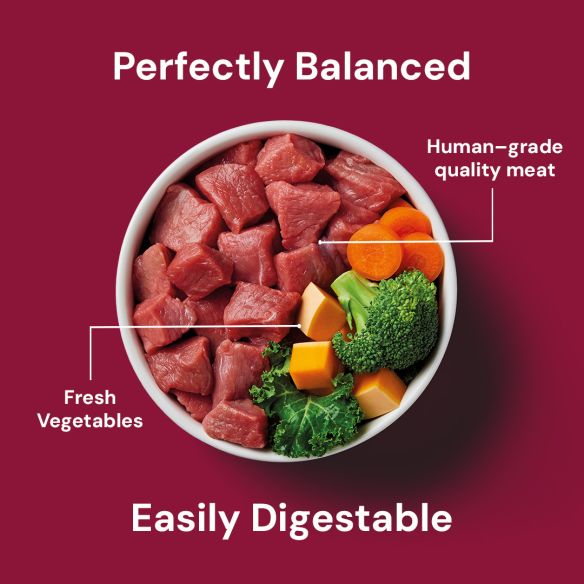 A bowl of fresh meat and veggies on a red background with labels "Perfectly Balanced" & "Easily Digestible". Product: Raw Boneless Beef 1.4kg.