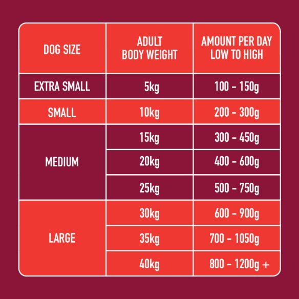 Raw Boneless Beef 1.4kg dog feeding chart: Extra small to large sizes with weight and daily amounts in grams.