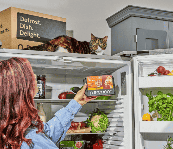 A person reaches into a fridge with a cat on top, next to a box labeled "Defrost. Dish. Delight.