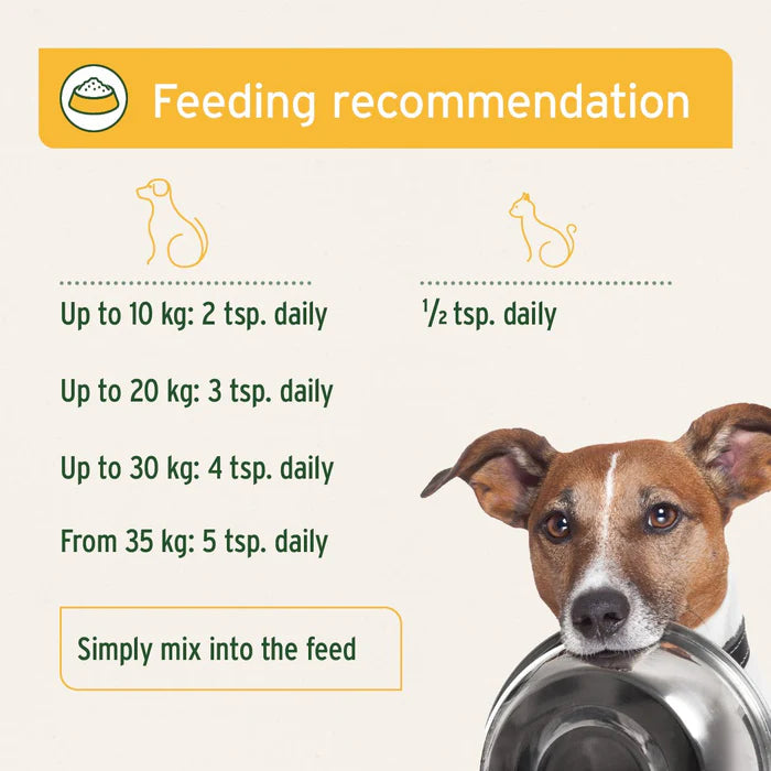 Pet feeding tips with digestive support featuring Aniforte Mineral Moor Mud 300g and a dog with an empty bowl.