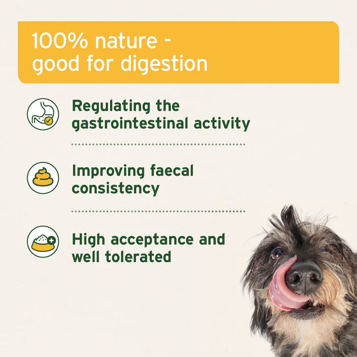 Dog enjoys licking the lips with Aniforte Mineral Moor Mud 300g benefits: boosts digestion, immunity, and fecal consistency.