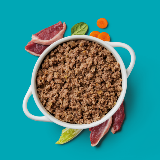 Bowl of Gently Steamed Duck with raw slices, carrots, and greens on teal background.