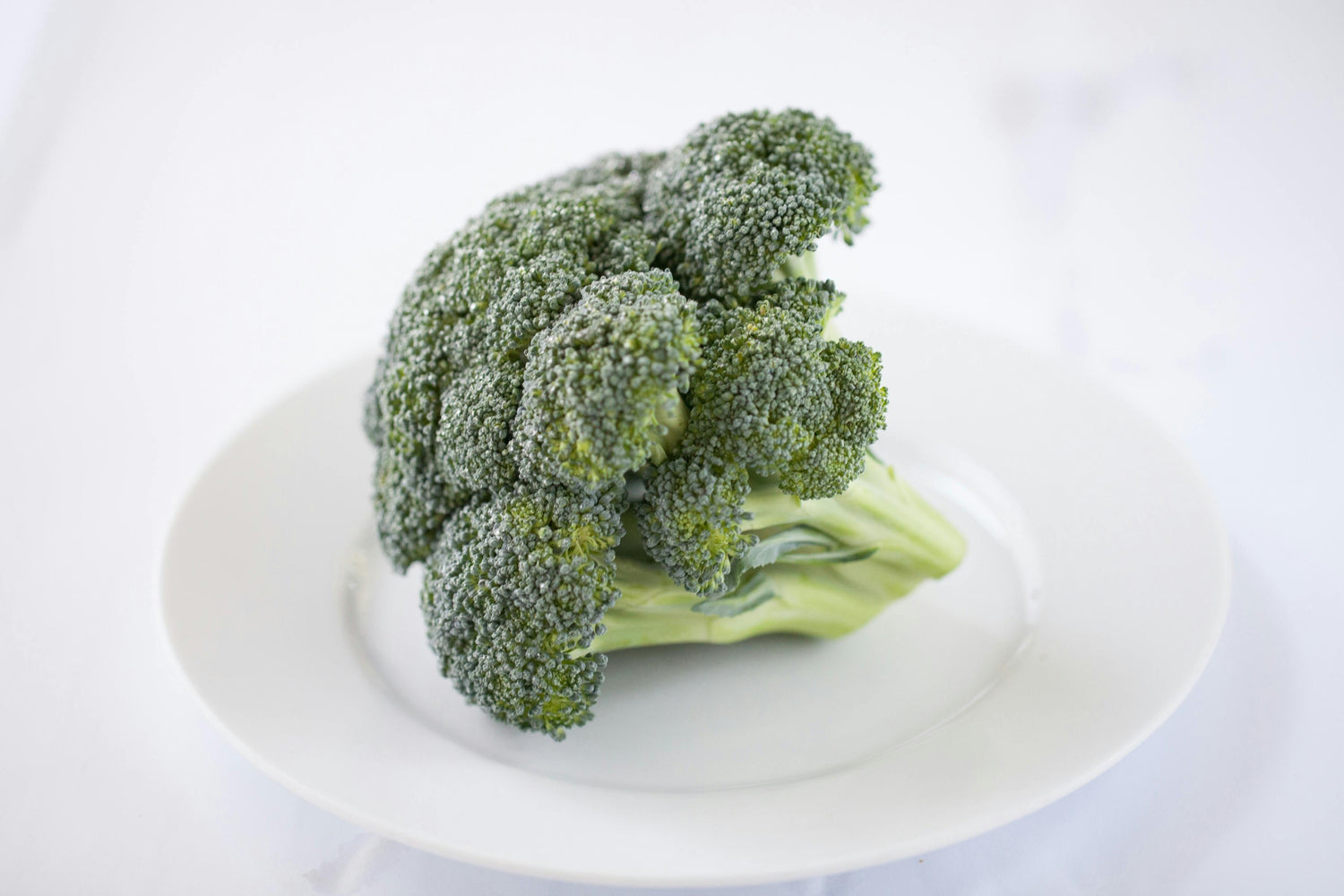 A head of fresh broccoli on a white plate against a plain white background.