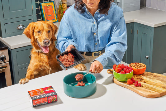 13 facts you didn't know about raw feeding
