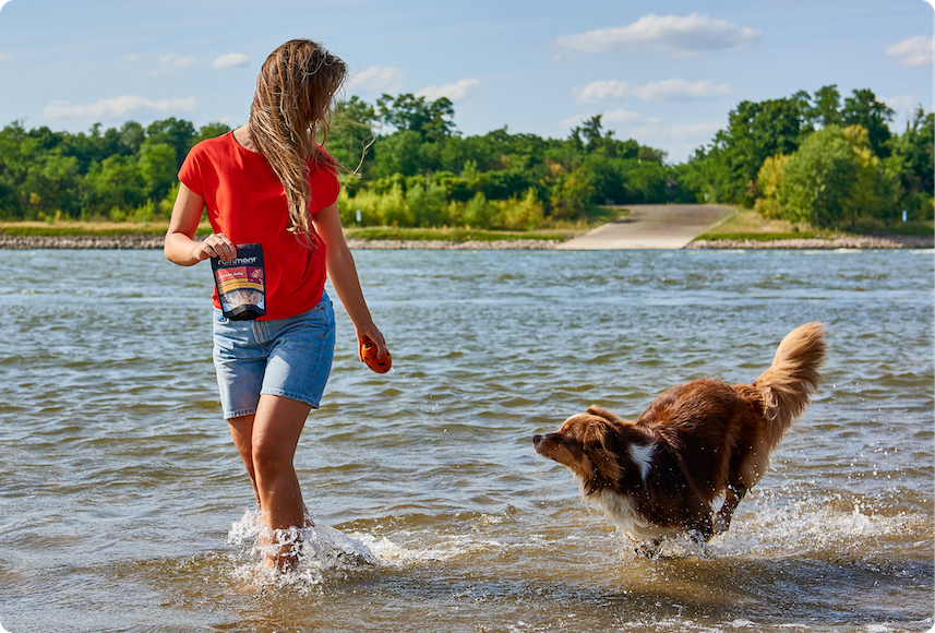 Spring Adventures: How to Keep Your Dog Fuelled on Days Out