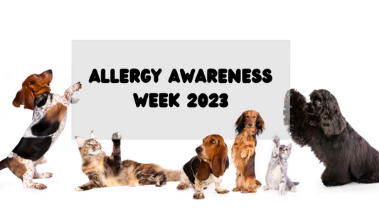 dogs holding a sign about allergy