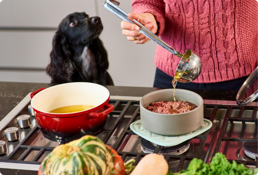 Hydration Tips for Dogs and Cats That Don't Drink Enough