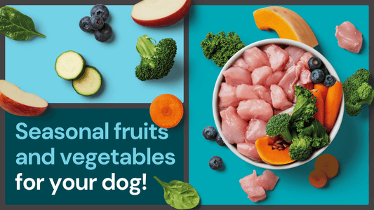 Seasonal fruits and vegetables for your dog