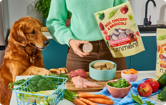 Buckwheat-Free Dog Food: What Dog Owners Need to Know