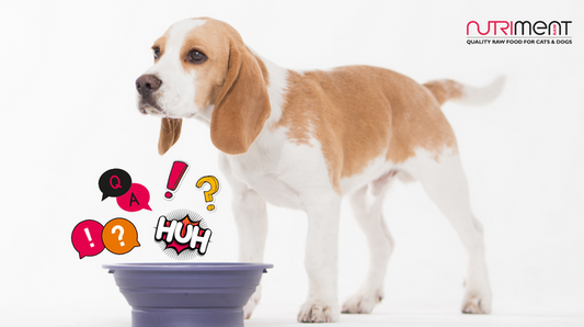 Is raw feeding really that 'tricky'?