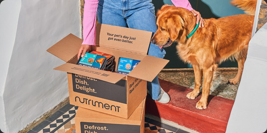 Christmas Delivery Dates 2025