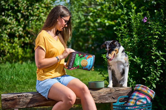 Summer Bank Holiday With Your Dog: Raw-Fuelled Days Out