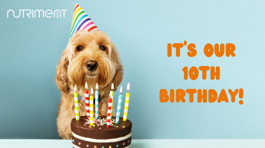 Nutriments 10th Birthday Timeline
