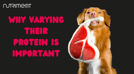 The importance of feeding a variety of proteins