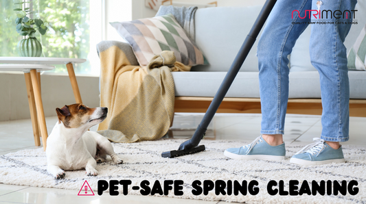 Pet-safe ways to Spring Clean your home!