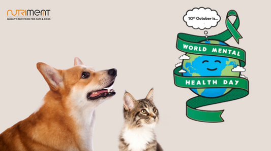 World Mental Health Day