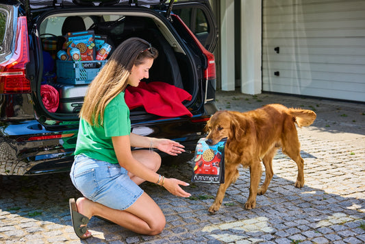 Travelling With Nutriment Food: The Complete Holiday Feeding Guide