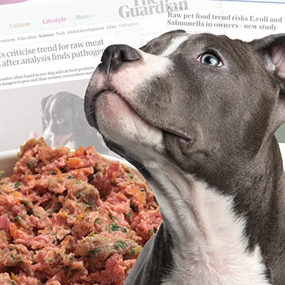 dog next to raw dog food