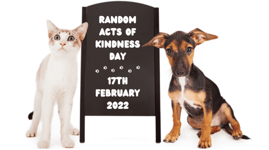 Cat and a dog sitting next to a sign highlighting it's 'Random Acts Of Kindness Day'