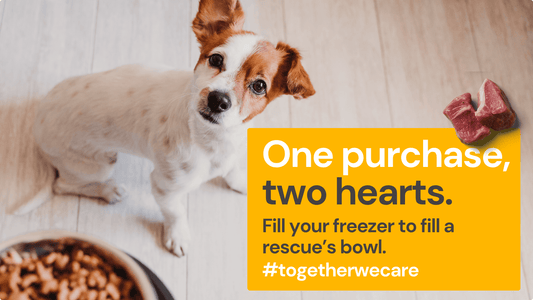 Together We Care - You Buy, We Donate