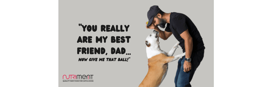 dog kissing their human dad
