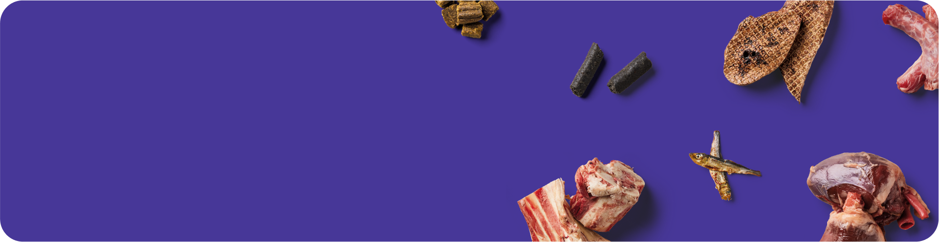 Various raw and dried pet foods, including bones, meat, fish, and kibble, are scattered on a purple background, leaving space on the left side.