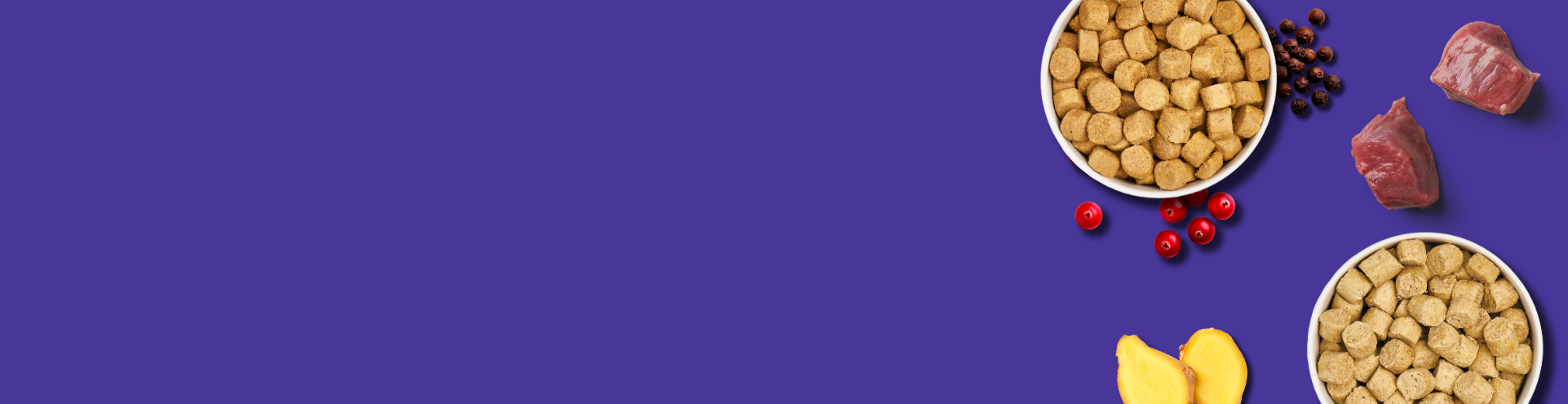 Two bowls of dry pet food, raw meat pieces, cranberries, blueberries, and a mango slice arranged on a purple background, with empty space on the left.