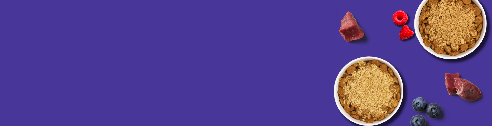 Two bowls of crumbly dessert with scattered blueberries, raspberries, and chunks of meat on a vibrant purple background. Left side is empty for text or design.