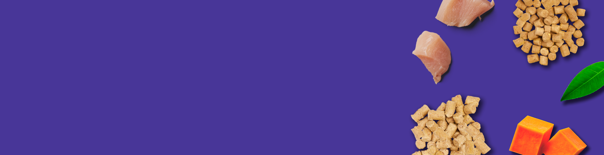 Chunks of raw chicken, kibble, diced orange vegetables, a green leaf, and pet food are arranged on the right side of a purple background, leaving ample empty space on the left.
