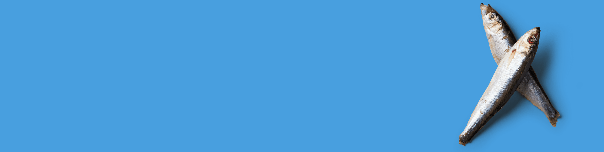 Two whole fish positioned in an X shape on a solid blue background, placed in the right corner of the image with empty space on the left.