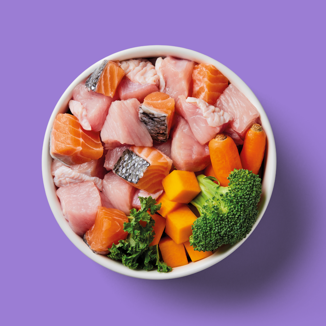 A bowl of Nutriment Salmon Turkey Formula 1kg with veggies on a purple background.