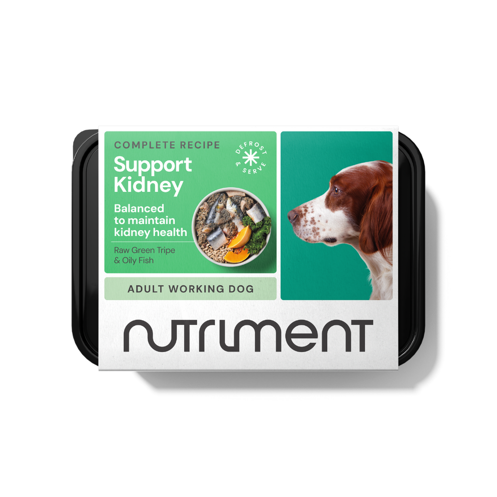 Kidney Support 500g Tray - Raw Dog Food | Nutriment Raw