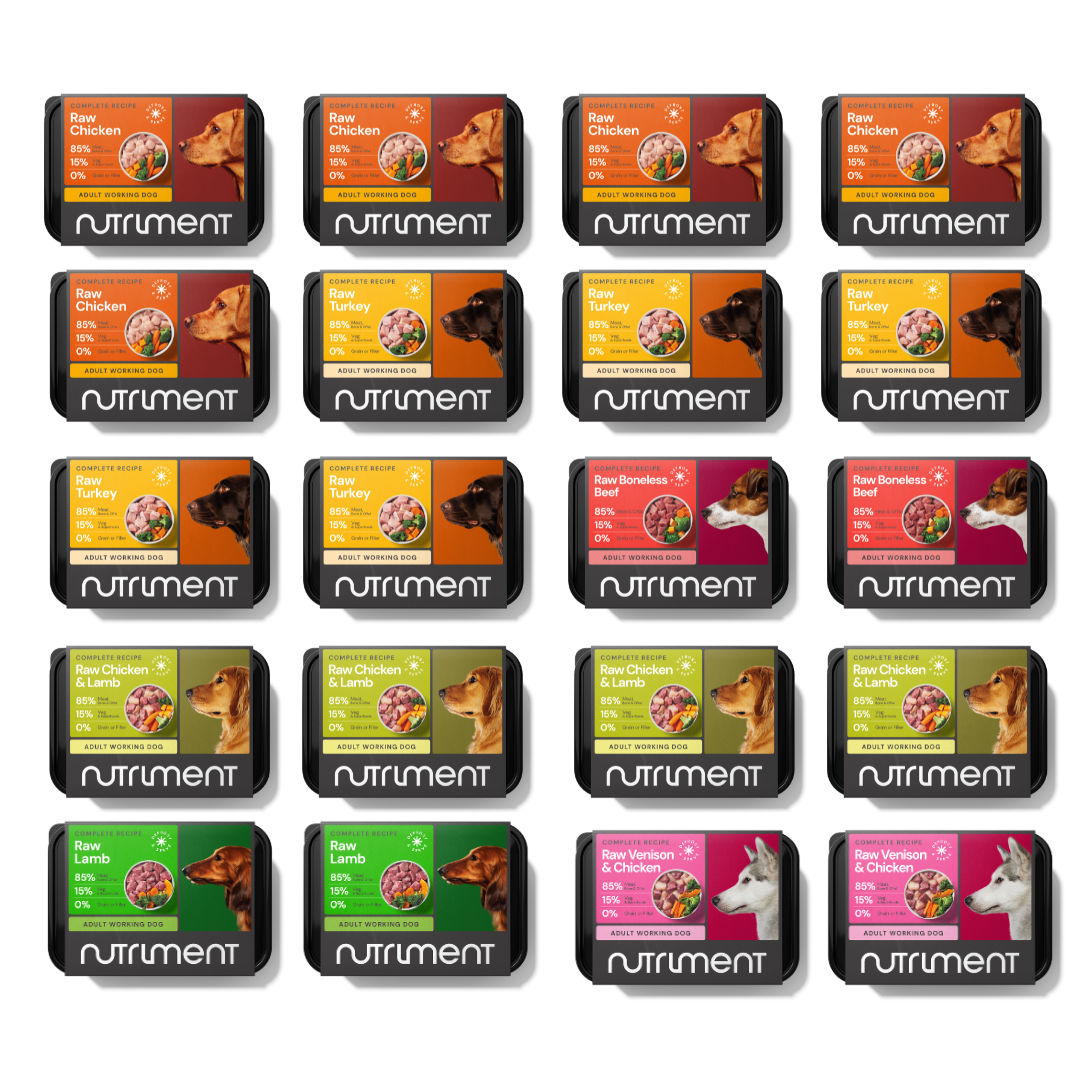 Twenty trays of 10kg Adult Mixer Box, a complete dog food, in orange, red, and green packaging.