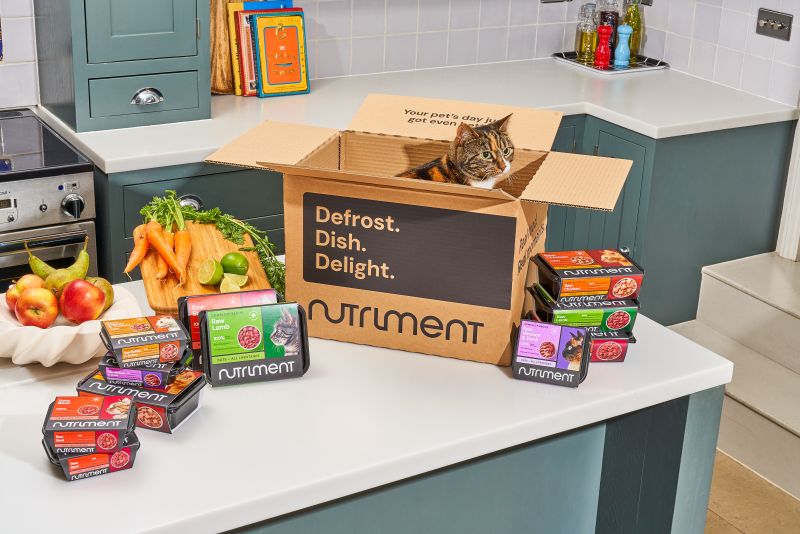 A cat sits in a Nourishment box on a kitchen counter with pet food packs, carrots, fruits, and greens nearby.