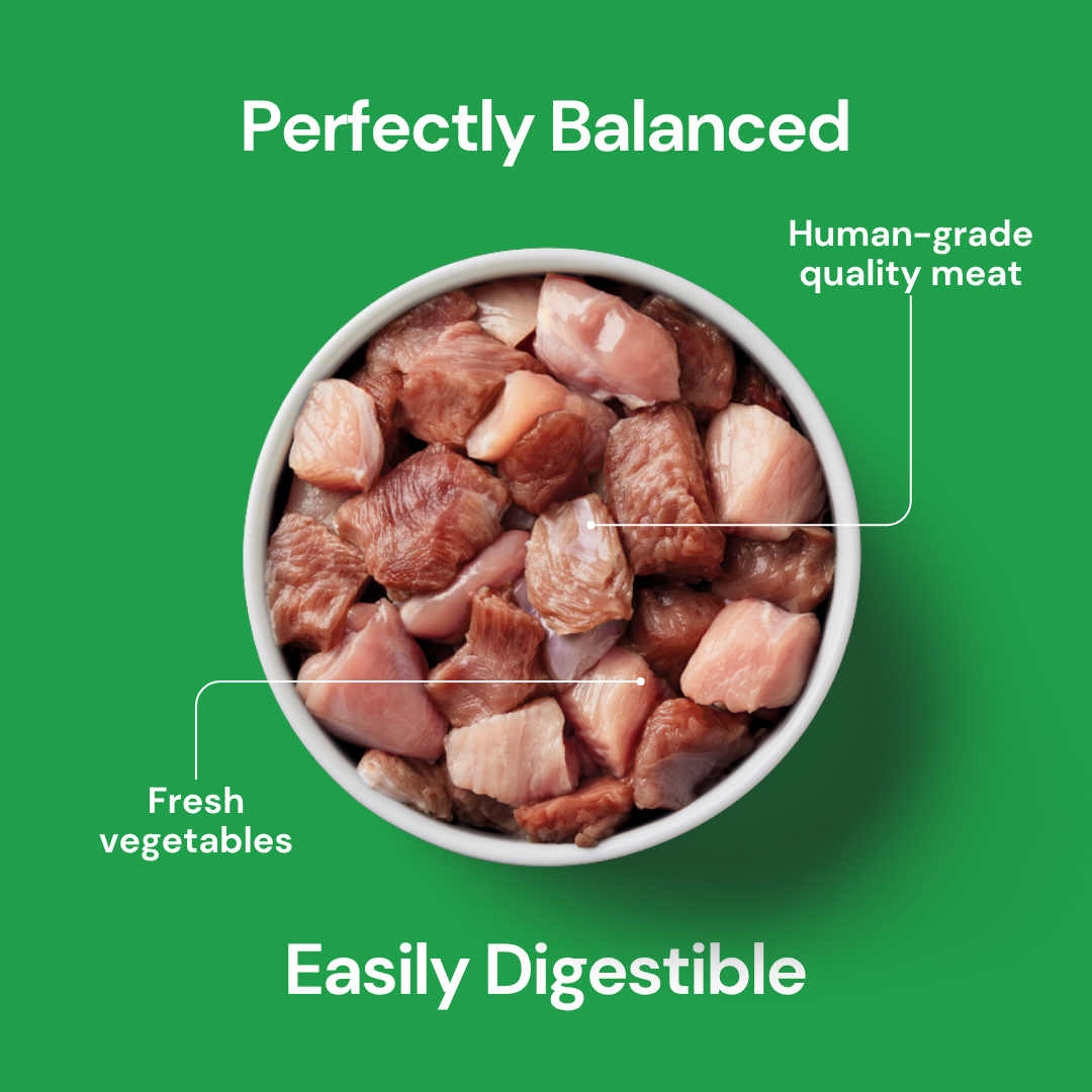 Cat Raw 3 Bird Roast 500g—Christmas Edition: human-grade, grain free, fresh, easily digestible cat food.